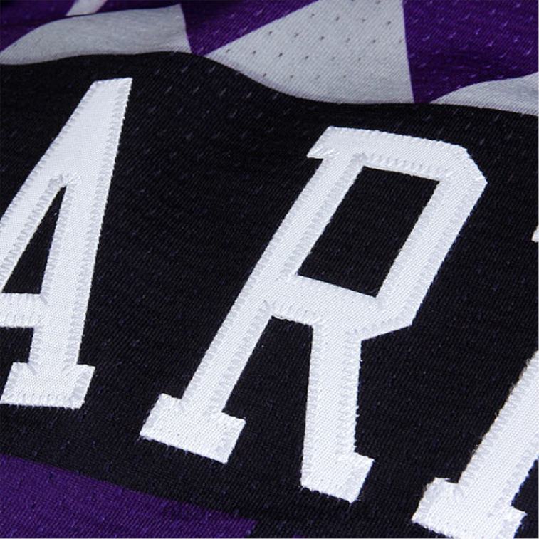 NBA 00F2L1830 mitchell & ness vince carter toronto raptors ritorno al passato maglia autentica - viola